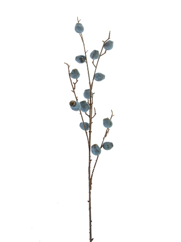 Picture of 37" POD BRANCH