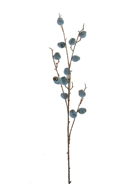 Picture of 37" POD BRANCH