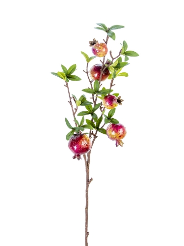 Picture of 35" POMEGRANATE BRANCH