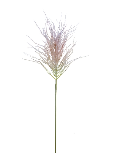 Picture of 44" PAMPAS