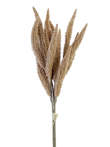 Picture of 25" MILLET BUNDLE