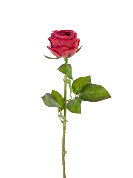 Picture of 29" REAL TOUCH CABBAGE ROSE SPRAY