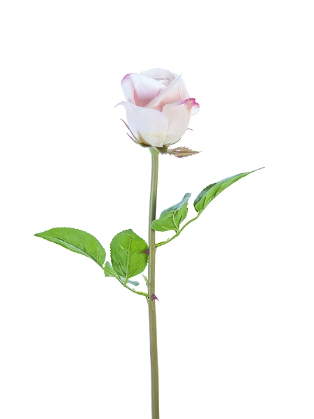 Picture of 23" REAL TOUCH ROSE BUD STEM