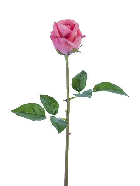 Picture of 23" REAL TOUCH ROSE BUD STEM