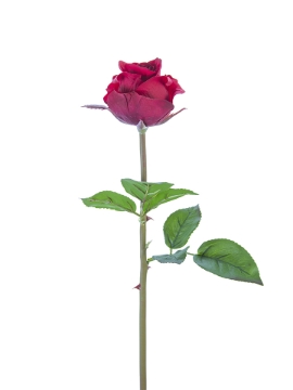 Picture of 23" REAL TOUCH ROSE BUD STEM