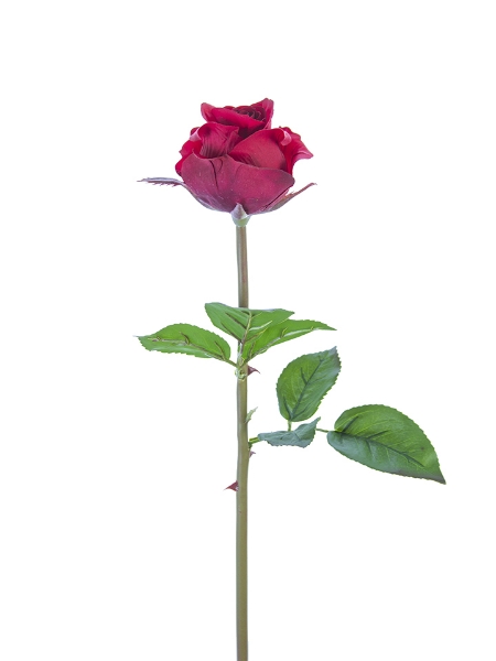 Picture of 23" REAL TOUCH ROSE BUD STEM