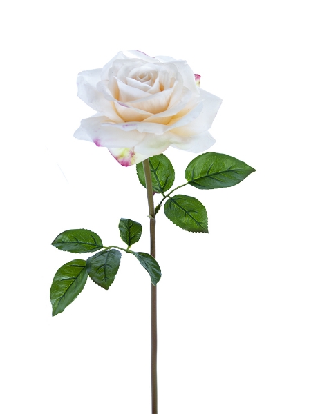 Picture of 27" REAL TOUCH OPEN ROSE STEM