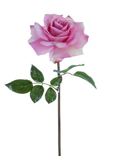 Picture of 27" REAL TOUCH OPEN ROSE STEM