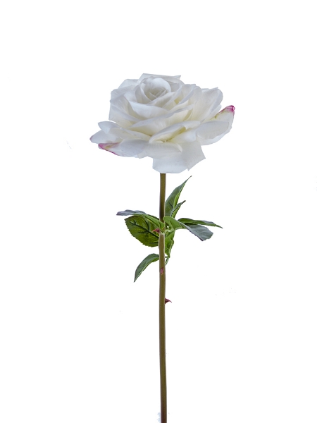 Picture of 27" REAL TOUCH OPEN ROSE STEM