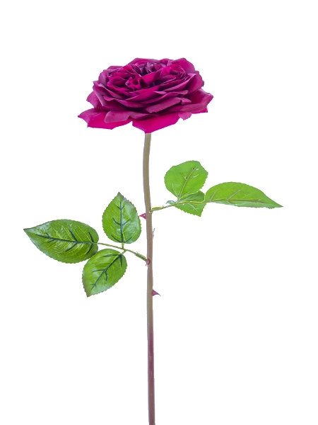 Picture of 24" REAL TOUCH GARDEN ROSE STEM
