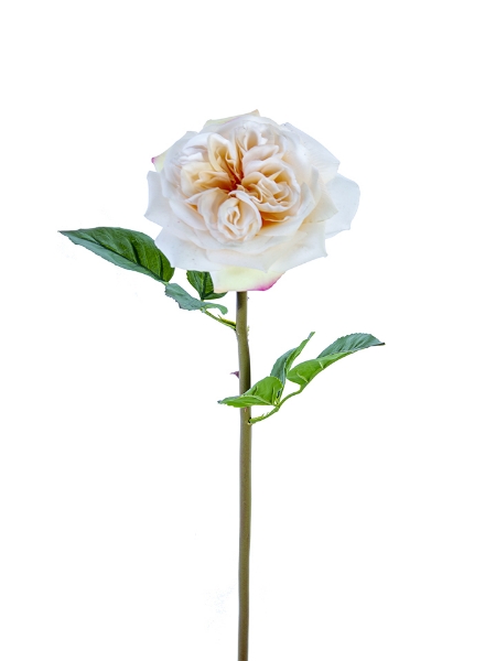 Picture of 24" REAL TOUCH GARDEN ROSE STEM