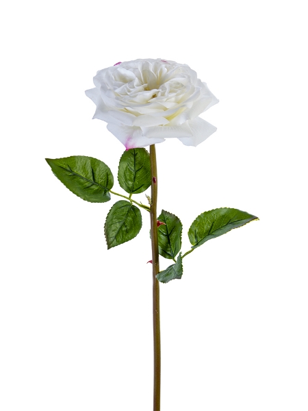 Picture of 24" REAL TOUCH GARDEN ROSE STEM