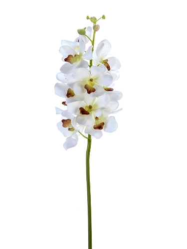Picture of 27" REAL TOUCH VANDA ORCHID