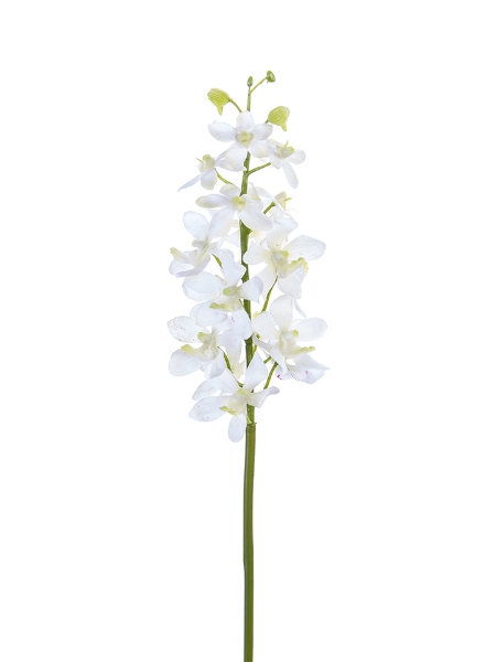 Picture of 27" REAL TOUCH SMALL VANDA ORCHID