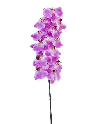 Picture of 42" REAL TOUCH PHALAENOPSIS