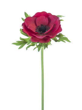 Picture of 22" REAL TOUCH POPPY ANEMONE