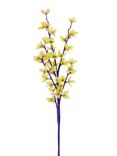Picture of 29" FORSYTHIA STEM