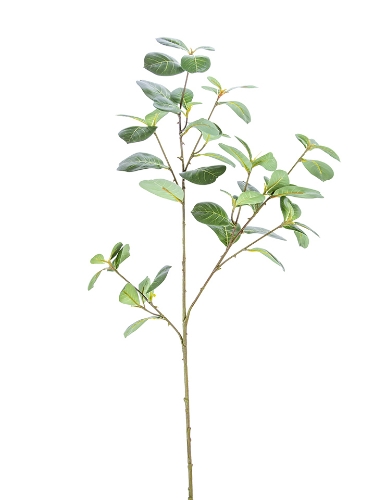 Picture of 38" PEPPEROMIA SPRAY