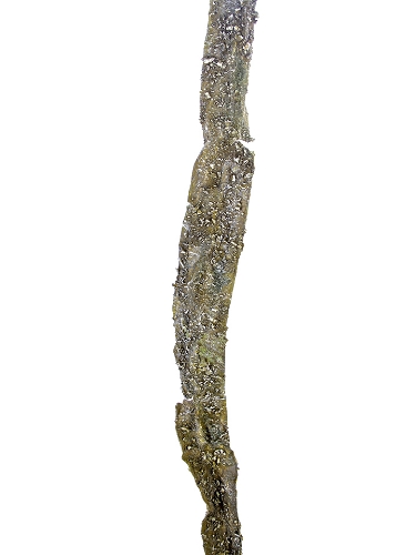 Picture of 61'' BARK W/MOSS GARLAND