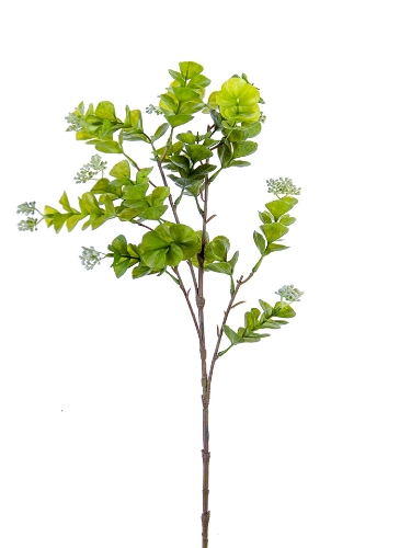 Picture of 28" SEEDED EUCALYPTUS SPRAY