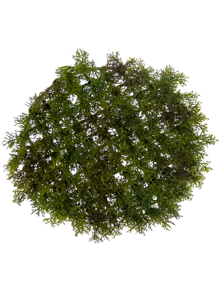 Picture of 9" MOSS MAT