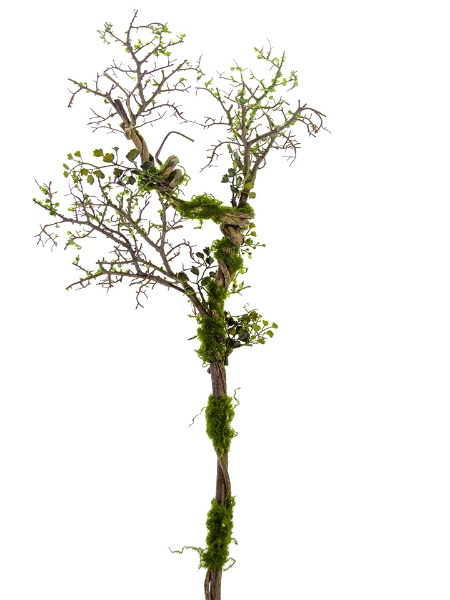Picture of 36" TWIG MOSS BRANCH