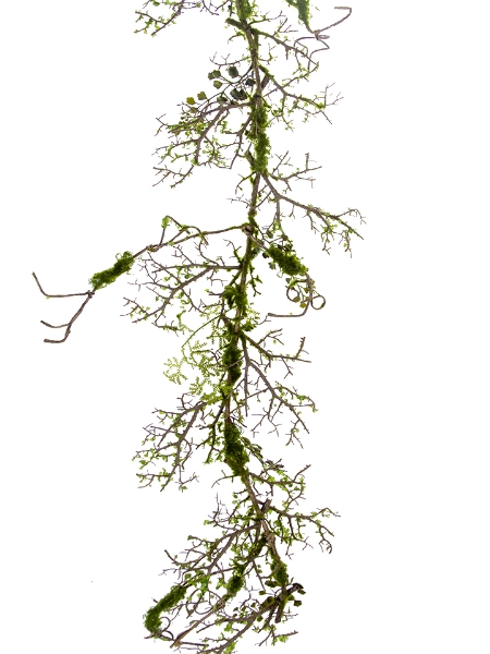 Picture of 53" TWIG MOSS GARLAND