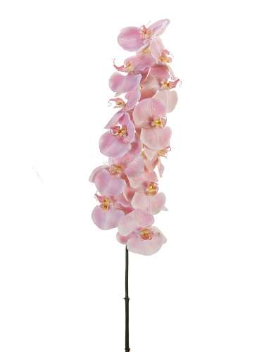 Picture of 44" PHALAENOPSIS SPRAY