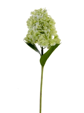 Picture of 29" REAL TOUCH CONE HYDRANGEA