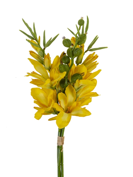 Picture of 19" TUBEROSE BUNDLE