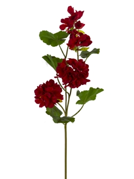 Picture of 26" REAL TOUCH GERANIUM SPRAY