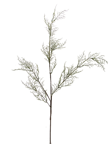 Picture of 40" SPRING GRASS BRANCH