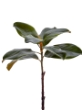 Picture of 23" MAGNOLIA LEAF SPRAY