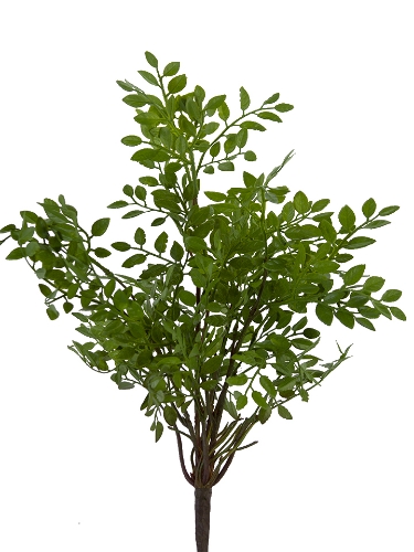 Picture of 19" SPRING LEAF BUSH