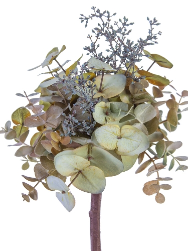 Picture of 16" EUCALYPTUS W/SEEDS PICK