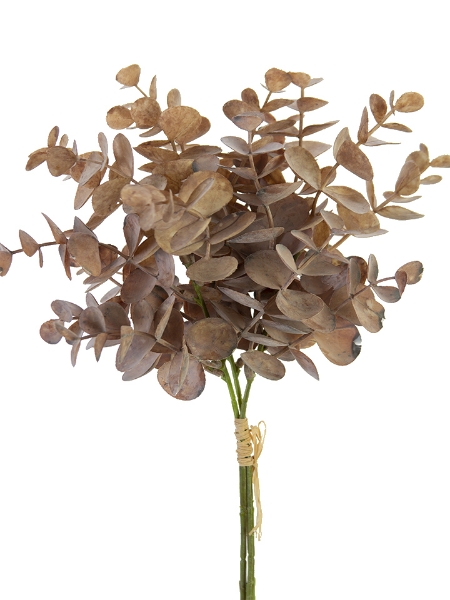 Picture of 15" EUCALYPTUS BUNDLE