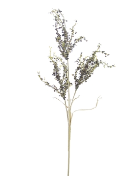 Picture of 34" DRIED AMARANTHUS SPRAY