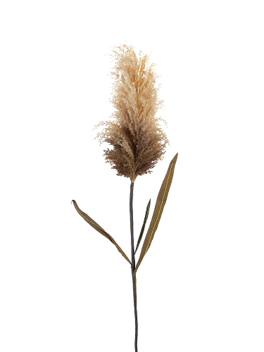Picture of 44" PAMPAS SPRAY