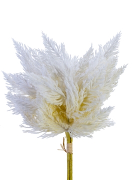 Picture of 14'' PAMPAS BUNDLE