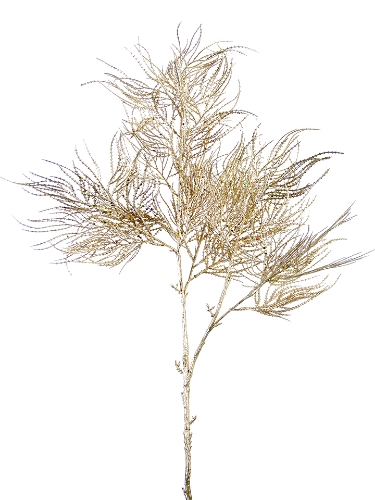 Picture of 38" SHINY FERN LVS SPRAY