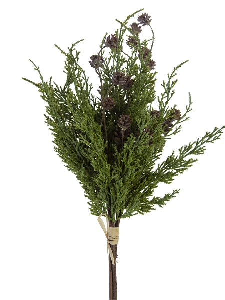 Picture of 22" CEDAR PINECONE BUNDLE