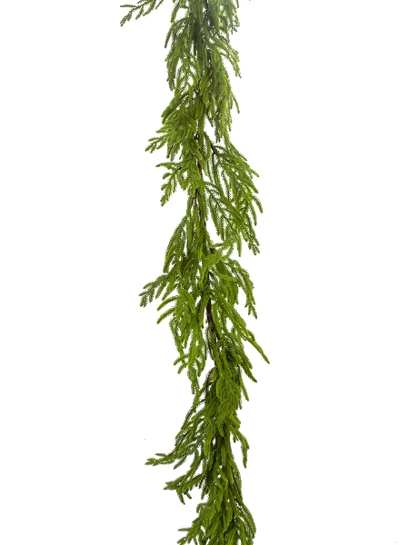 Picture of 16' NORFOLK PINE GARLAND