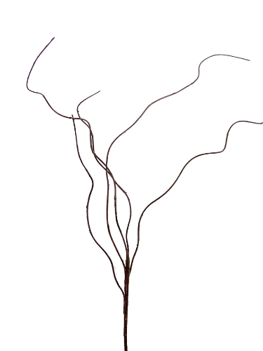 Picture of 37" CURLY WILLOW