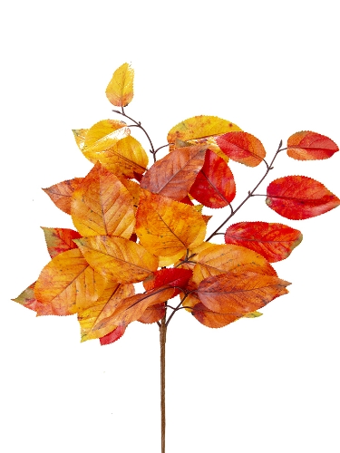 Picture of 20"  FALL SALAL PICK