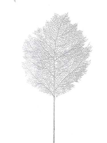 Picture of 36" GLITTER CORAL SPRAY