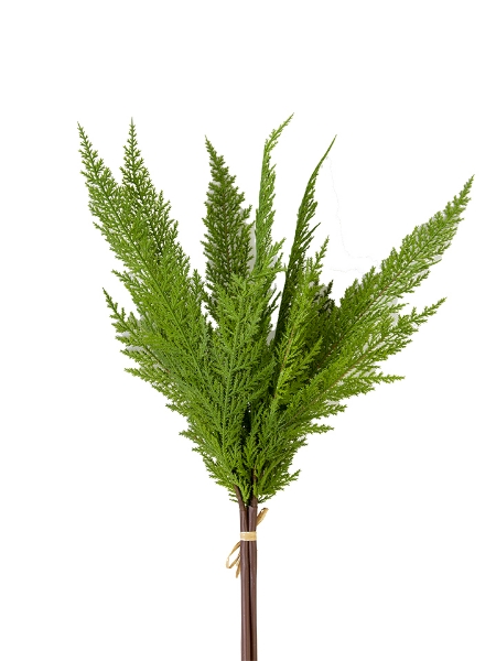 Picture of 24" CEDAR BUNDLE