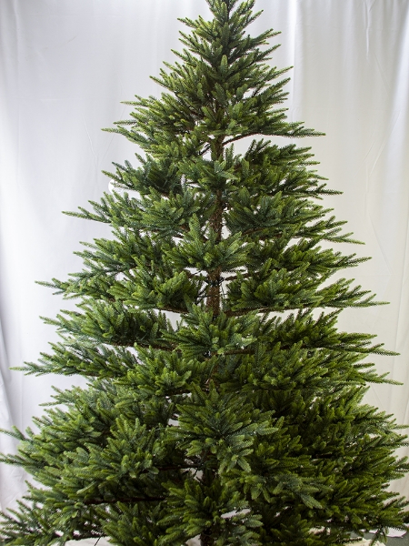 Picture of 7.5' LIGHTED SPRUCE FIR TREE