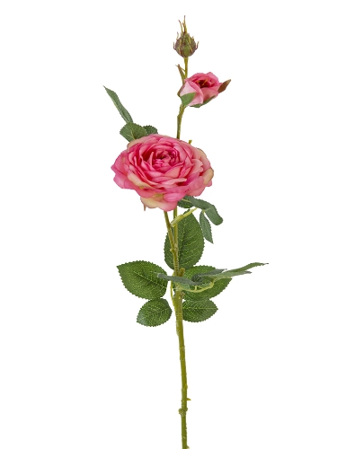 Picture of 24" OPEN ROSE SPRAY