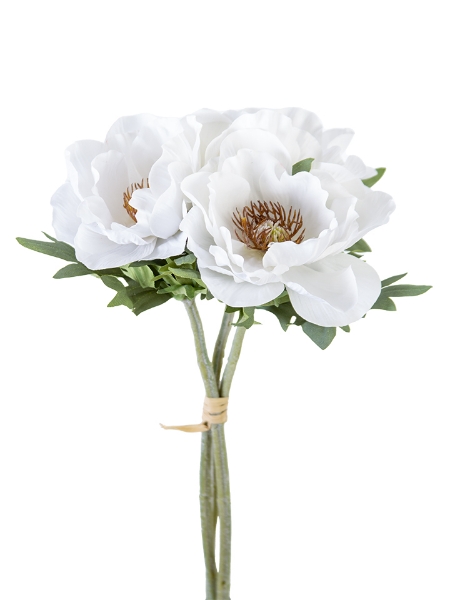 Picture of 17" ANEMONE BUNDLE