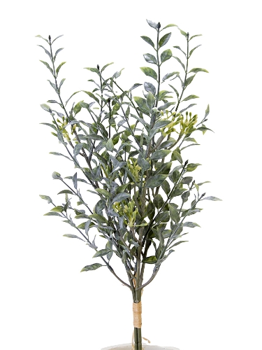 Picture of 20" MYRTLE LEAF BUNDLE